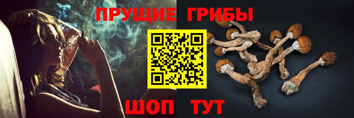 Псилоцибиновые грибы Cubensis Алапаевск